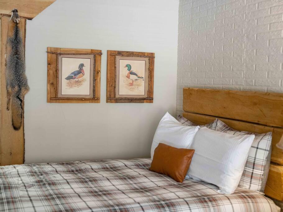 Stonegate Lodge 2 Queen Beds Fast Wifi 50In Tv Salt Water Pool Room # 305 Eureka Springs Dış mekan fotoğraf